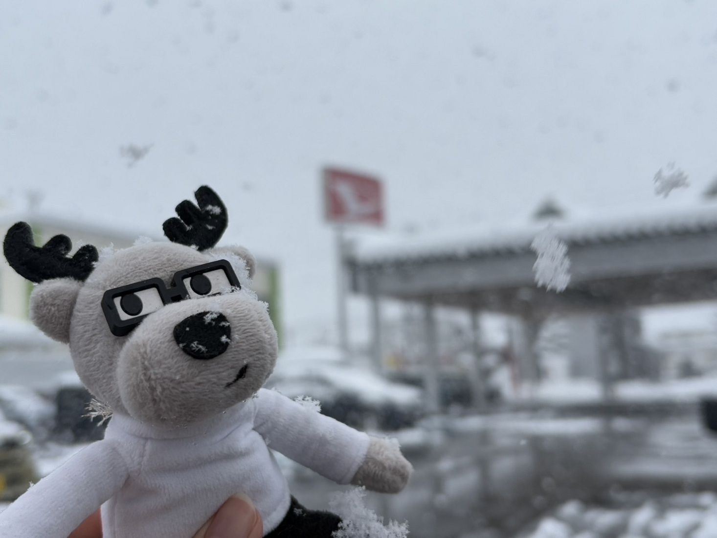 🍫ショールームの飾りつけのご紹介🍫